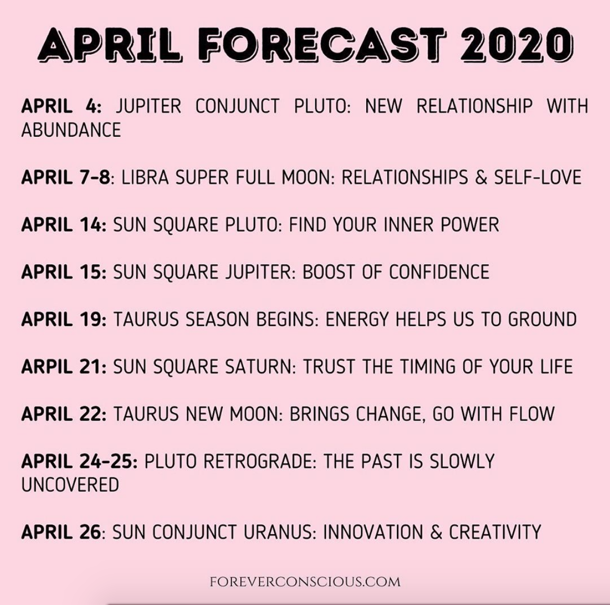 Screen Shot 2020-04-01 at 3.58.43 PM